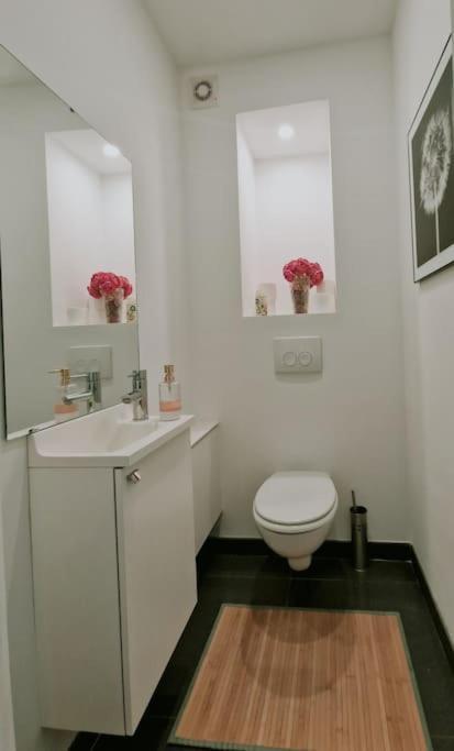 Le Cocon Du Midi - Appartement Cosy Βρυξέλλες Εξωτερικό φωτογραφία
